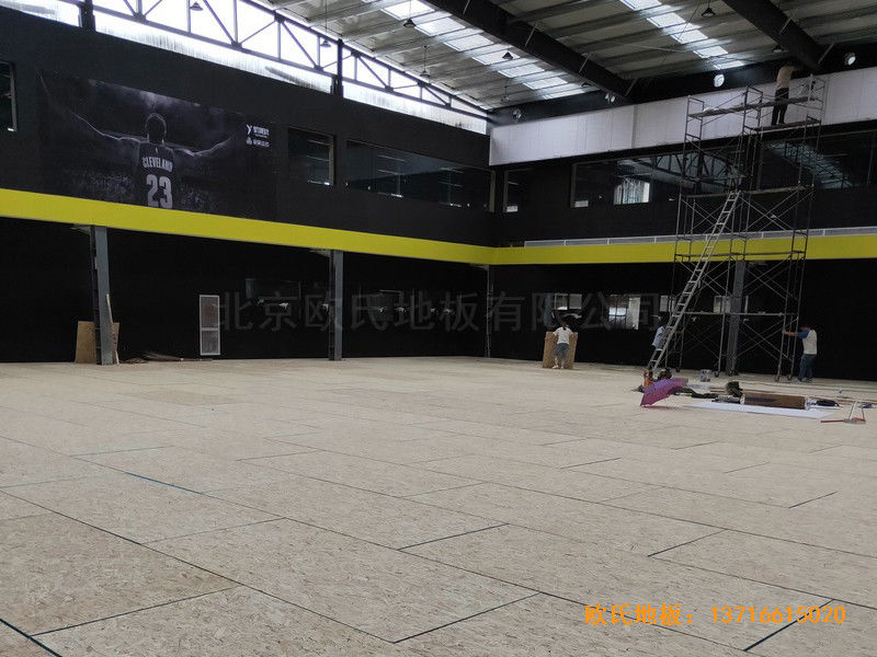 南阳体育篮球俱乐部运动地板铺设案例2