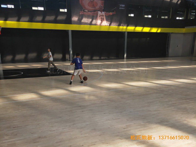 南阳体育篮球俱乐部运动地板铺设案例4