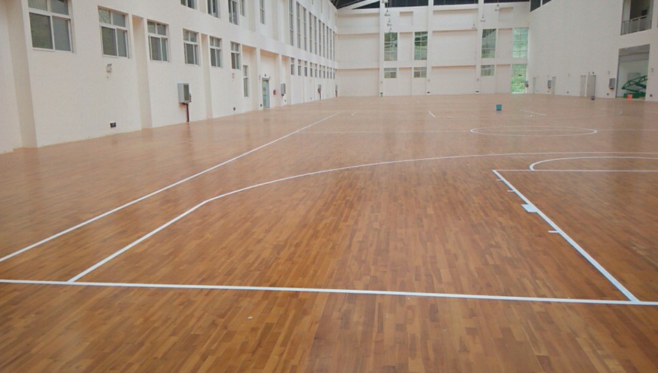 双层龙骨枫木B级运动木地板