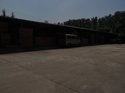 体育馆运动木地板多少钱一平方米