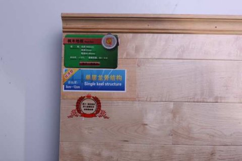马布里参加篮球世界杯奖杯巡展