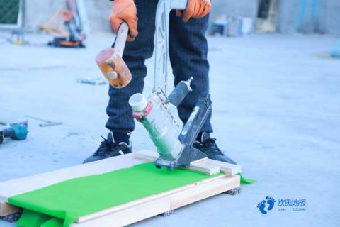 枫桦木与柞木运动地板各有什么特点