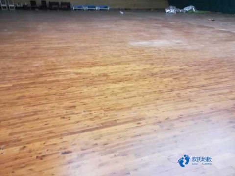 第五届广西木材加工产业论坛载誉归来