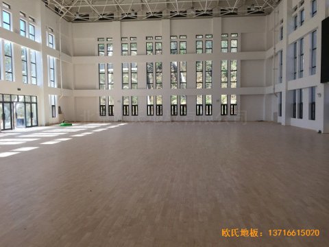 河南南阳南召县天池电站运动馆体育木