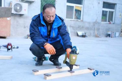 枫桦木运动篮球木地板多少钱
