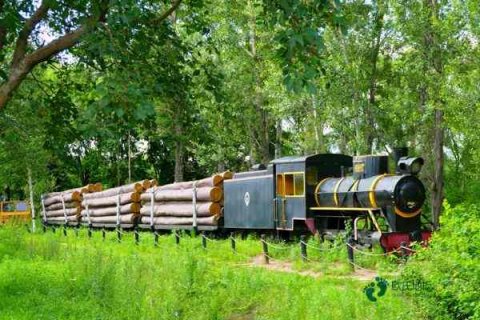 学校篮球场馆木地板哪里买好