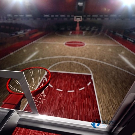 20厚运动篮球木地板行业品牌3