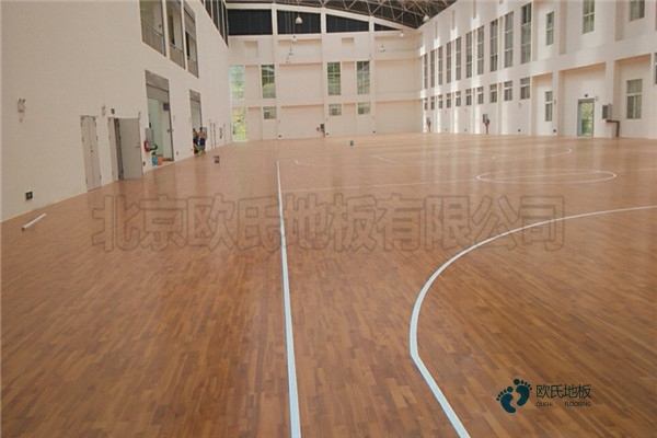 篮球运动木地板品牌排行榜2