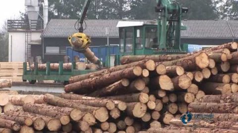 篮球场木地板施工工艺