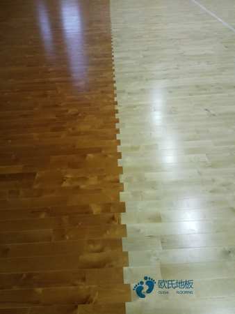 定制运动场地地板品牌大全3