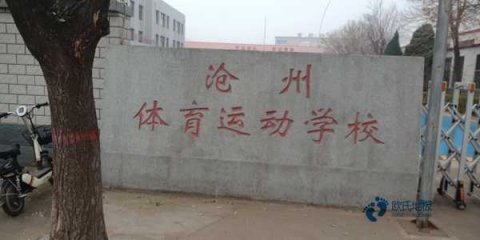 25厚运动场馆地板较好的有哪些牌子