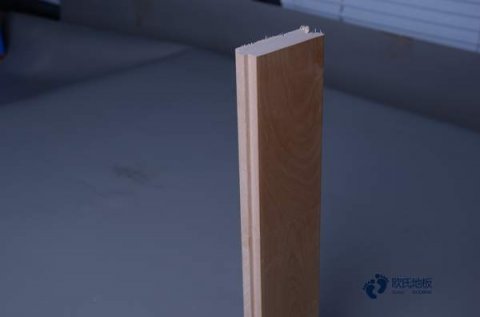 常用运动地板品牌哪个好