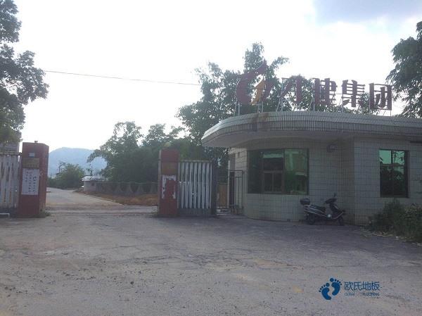 运动场地木地板哪些牌子好2