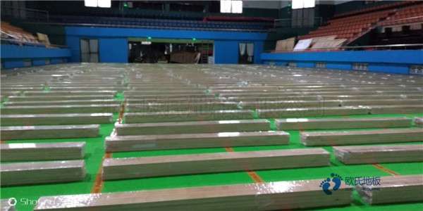 运动地板品牌哪个好1