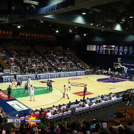 好用的运动篮球木地板价目表